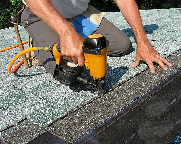 Best Storm Damage Roof Repair  in Obion, TN