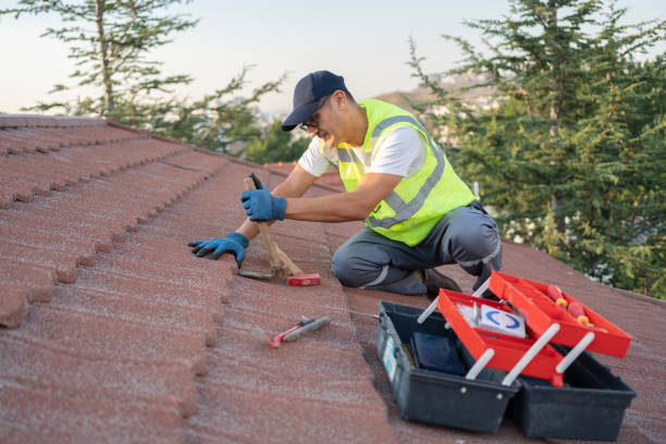 Best Flat Roof Repair Services  in Obion, TN