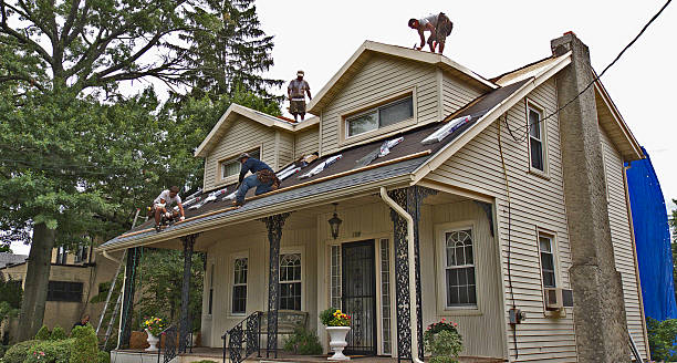 Best Local Roofing Companies  in Obion, TN
